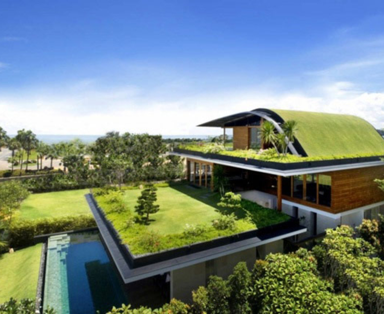 Rooftop gardens