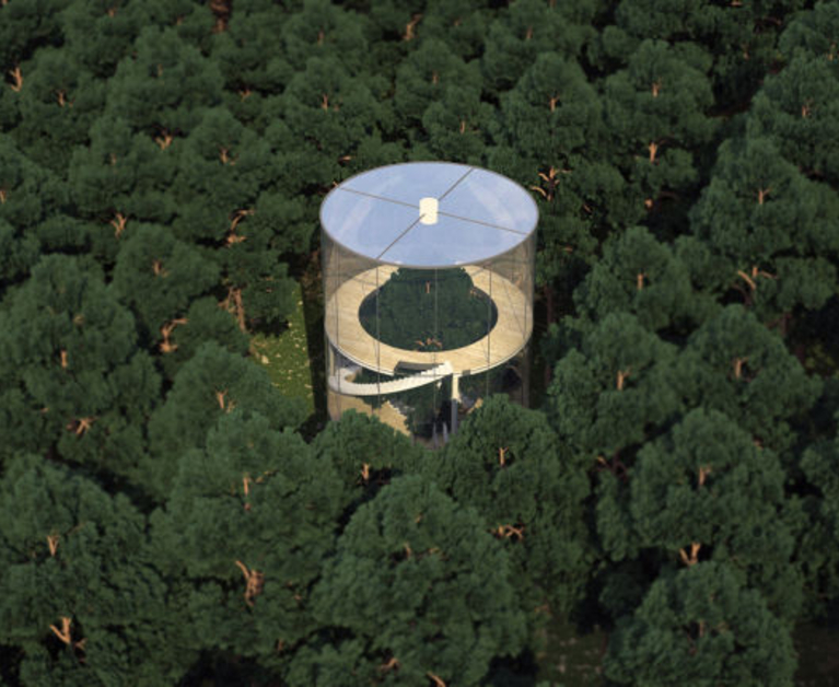 The Glass House Built Around a Tree