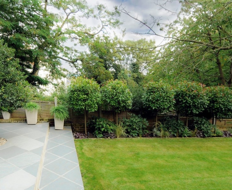 Screen your yard in style