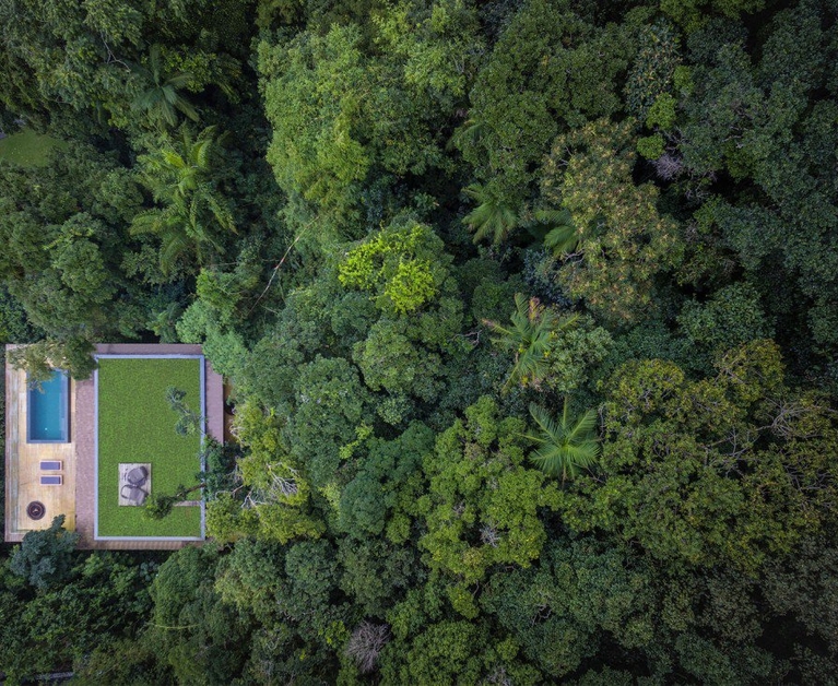 The Jungle house in Brazil
