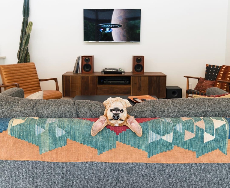 Pets who love cozy, gorgeous homes as much as you