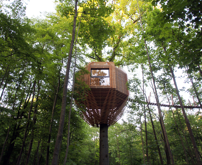 Tree House on an oak